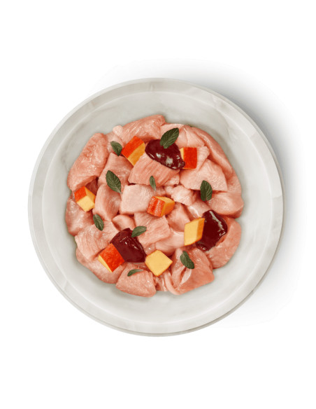 Terra Felis - Kurczak z Indykiem 80g